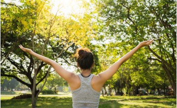 Zimt als antioxidative Ergänzung